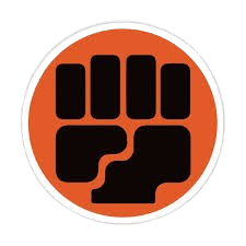 Fighting Type