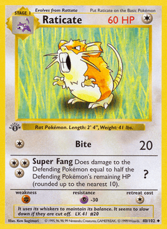 Raticate #40