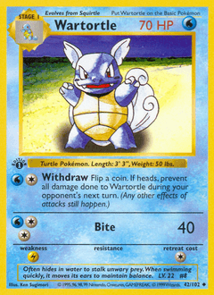Wartortle #42