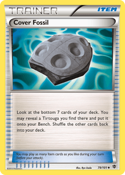 Cover Fossil #79