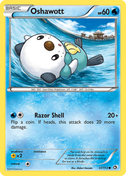 Oshawott #37