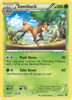 Sawsbuck #16