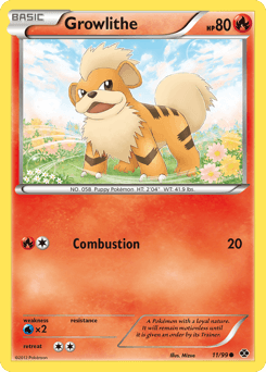 Growlithe #11