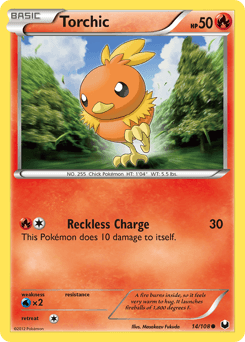 Torchic #14