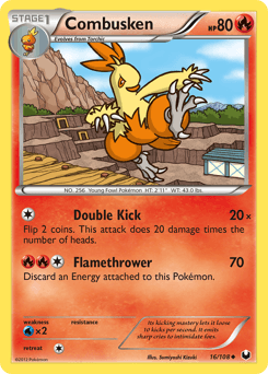 Combusken #16