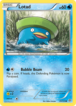 Lotad #29