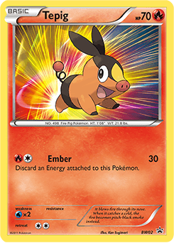 Tepig #BW02