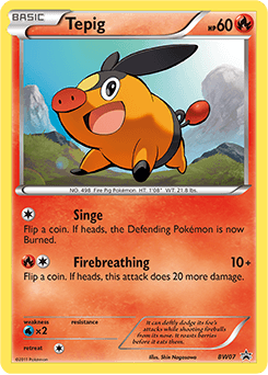 Tepig #BW07