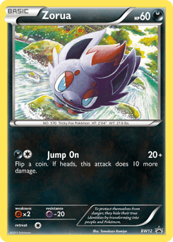 Zorua #BW12