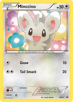 Minccino #BW13