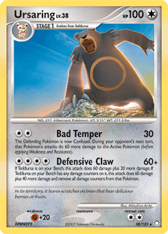 Ursaring #38
