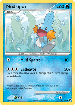 Mudkip #80