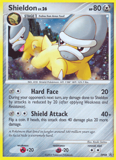 Shieldon #DP08