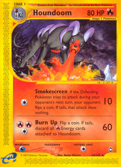 Houndoom #14