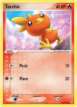Torchic #83