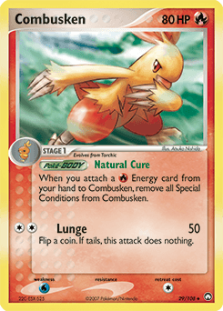Combusken #29
