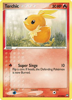 Torchic #67