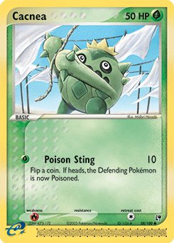 Cacnea #58