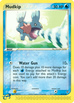 Mudkip #65