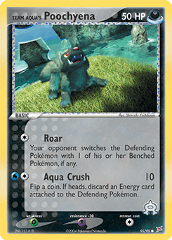 Team Aqua's Poochyena #55