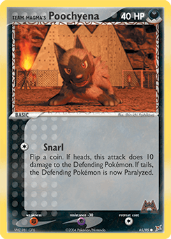 Team Magma's Poochyena #65