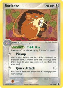 Raticate #48