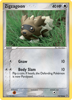 Zigzagoon #74