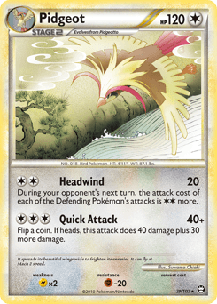 Pidgeot #29
