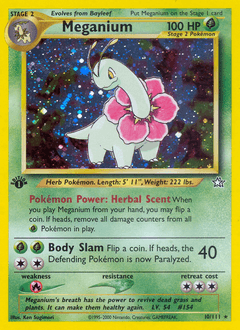 Meganium #10