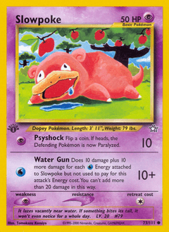 Slowpoke #73