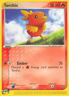 Torchic #17