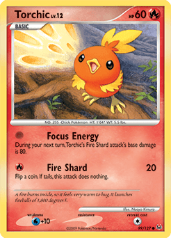 Torchic #99