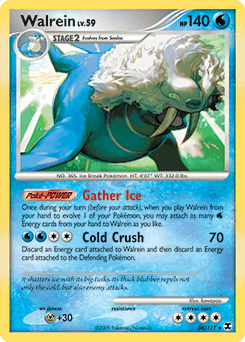 Walrein #36