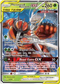 Pheromosa & Buzzwole-GX #1