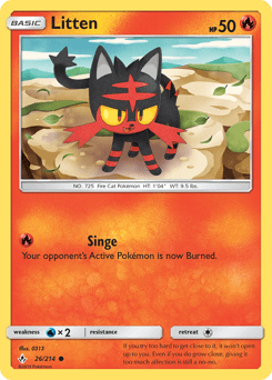 Litten #26