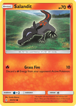 Salandit #30