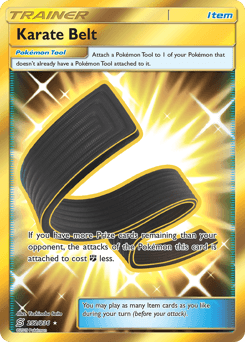 Karate Belt #252
