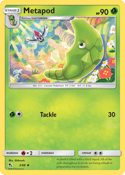 Metapod #2