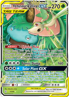 Venusaur & Snivy-GX #1