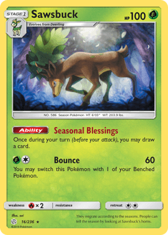 Sawsbuck #16