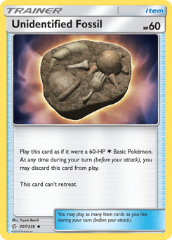 Unidentified Fossil #207