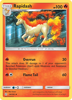 Rapidash #24