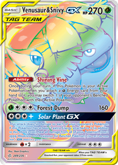 Venusaur & Snivy-GX #249