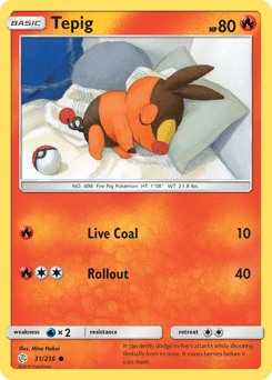 Tepig #31