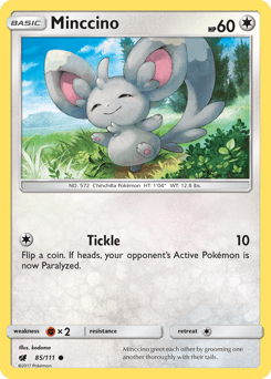 Minccino #85