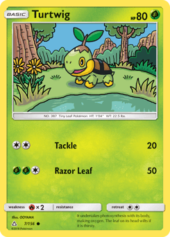 Turtwig #7