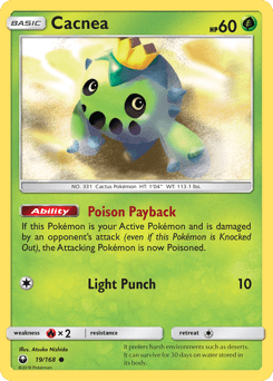 Cacnea #19