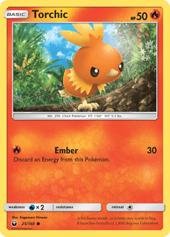 Torchic #25