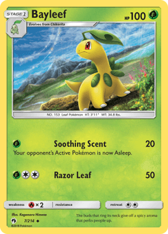 Bayleef #7