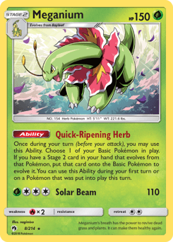 Meganium #8